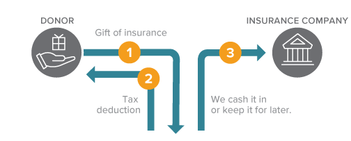 This diagram represents how to make a gift of life insurance - a gift that costs nothing during lifetime.